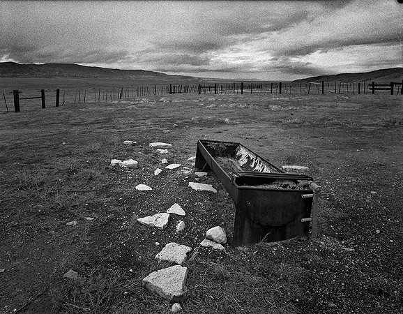 "Water Trough" - Carrizo Plain, 2014