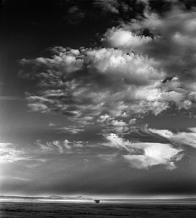 "Rayne's Tree" - Carrizo Plain, California - 2014