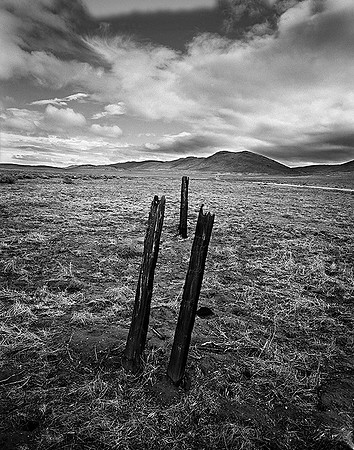 "Juniper Fence Posts" - Carrizo Plain, California - 2013