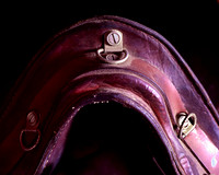 Equine Studies